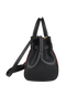 Small Belted Bayswater, side view